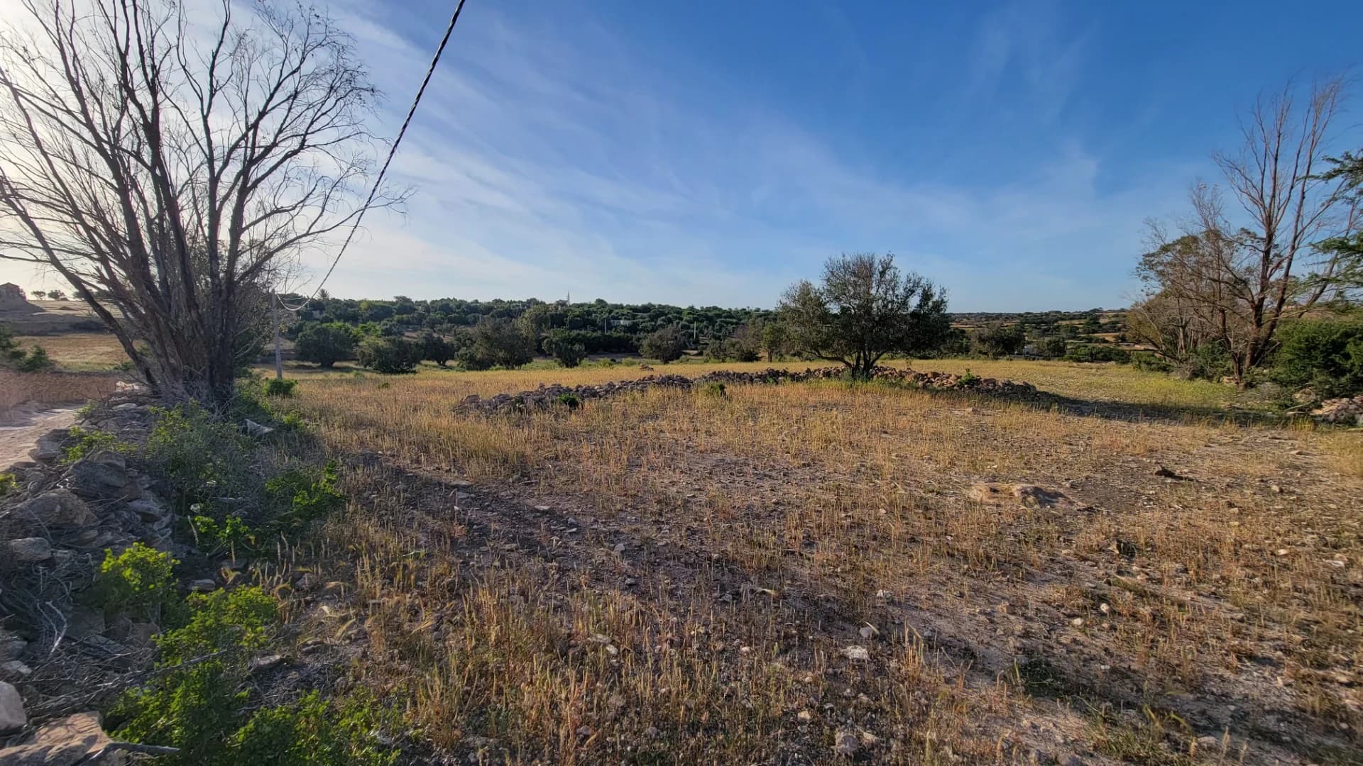 Terrain constructible 12000m² à Essaouira Lahrarta